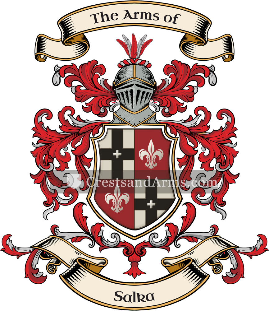 The Salka coat of arms, drawn from the recorded blazon