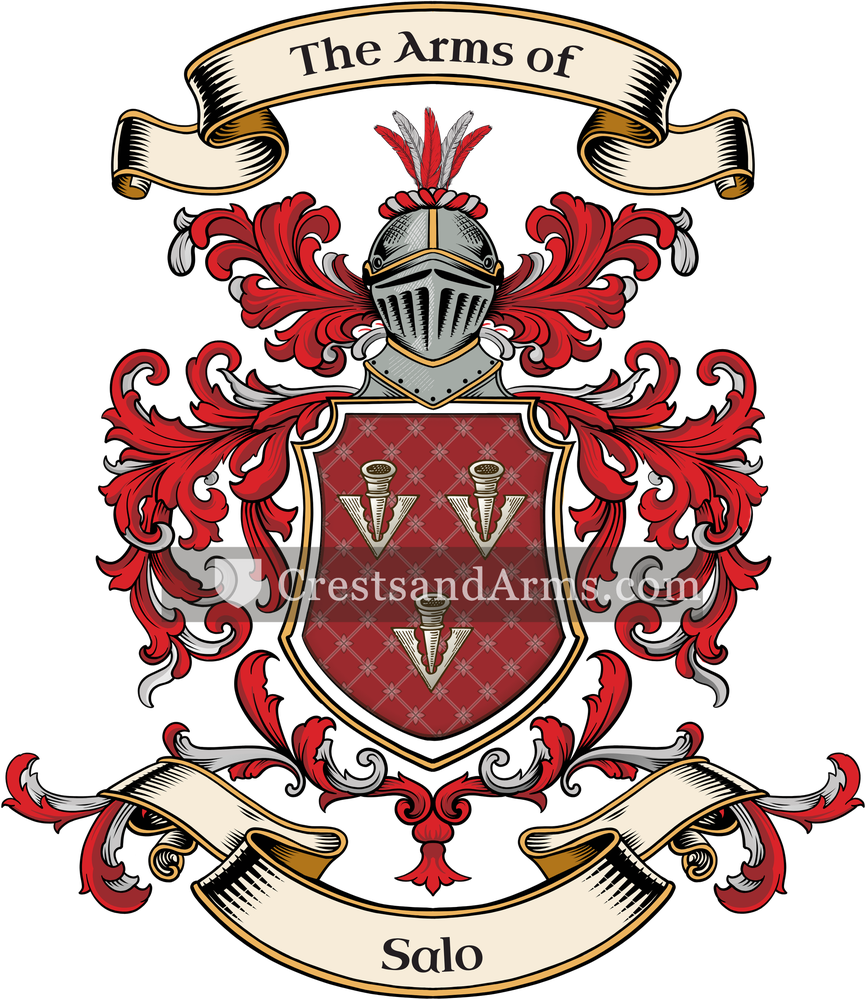 The Salo coat of arms, drawn from the recorded blazon