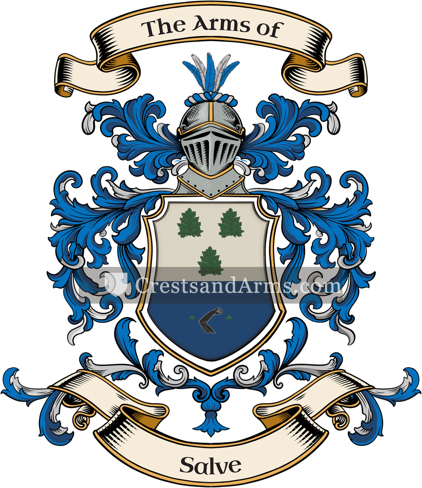 The Salve coat of arms, drawn from the recorded blazon