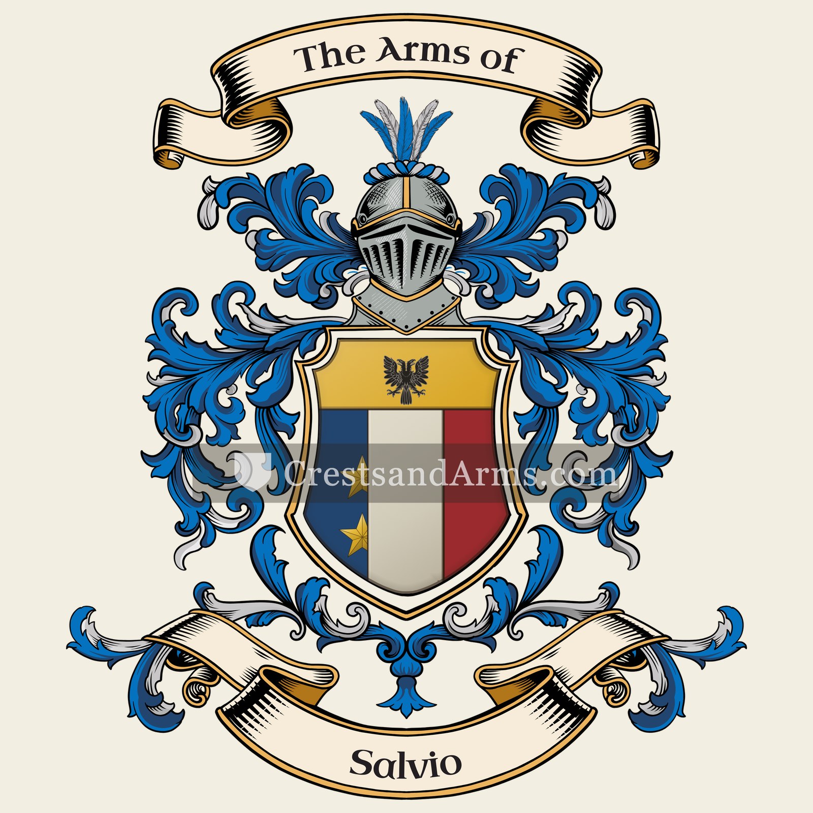 The Salvio coat of arms, drawn from the recorded blazon