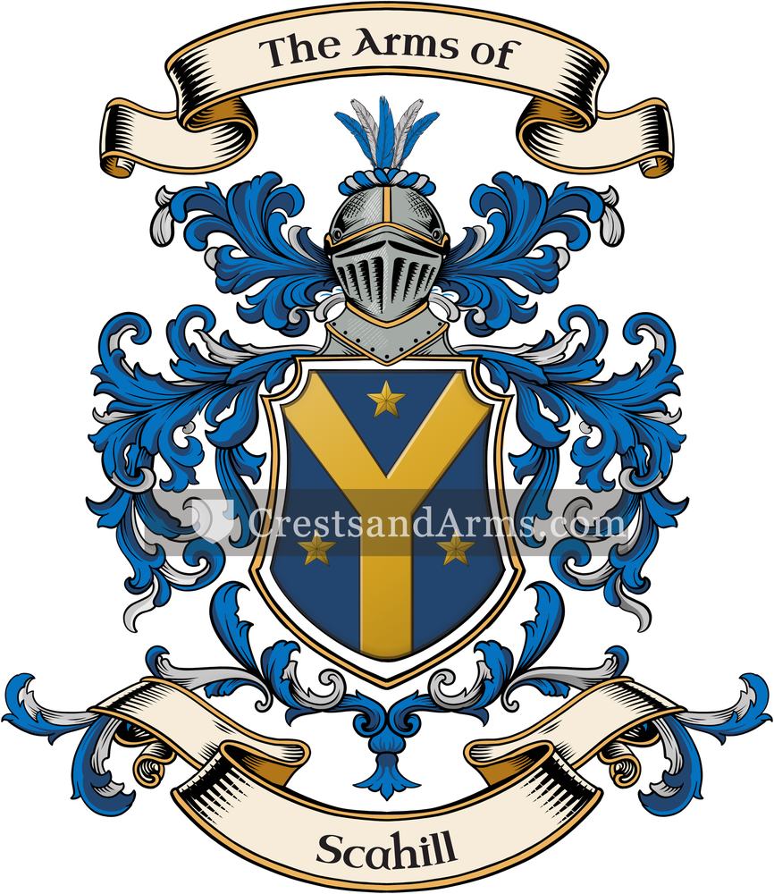 The Scahill coat of arms, drawn from the recorded blazon