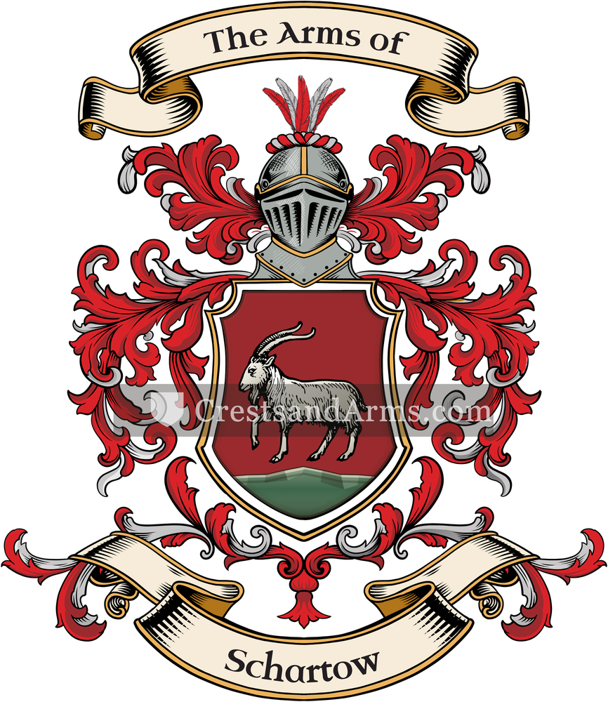 The Schartow coat of arms, drawn from the recorded blazon
