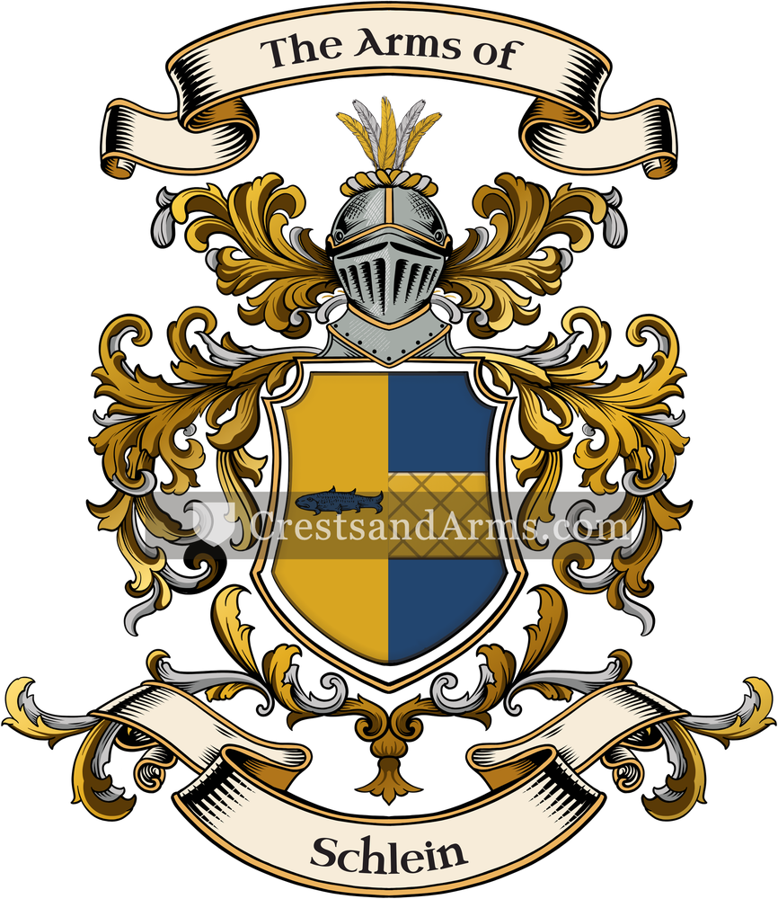 The Schlein coat of arms, drawn from the recorded blazon