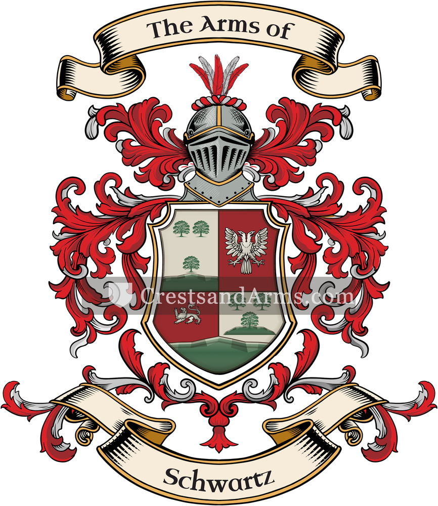 The Schwartz coat of arms, drawn from the recorded blazon