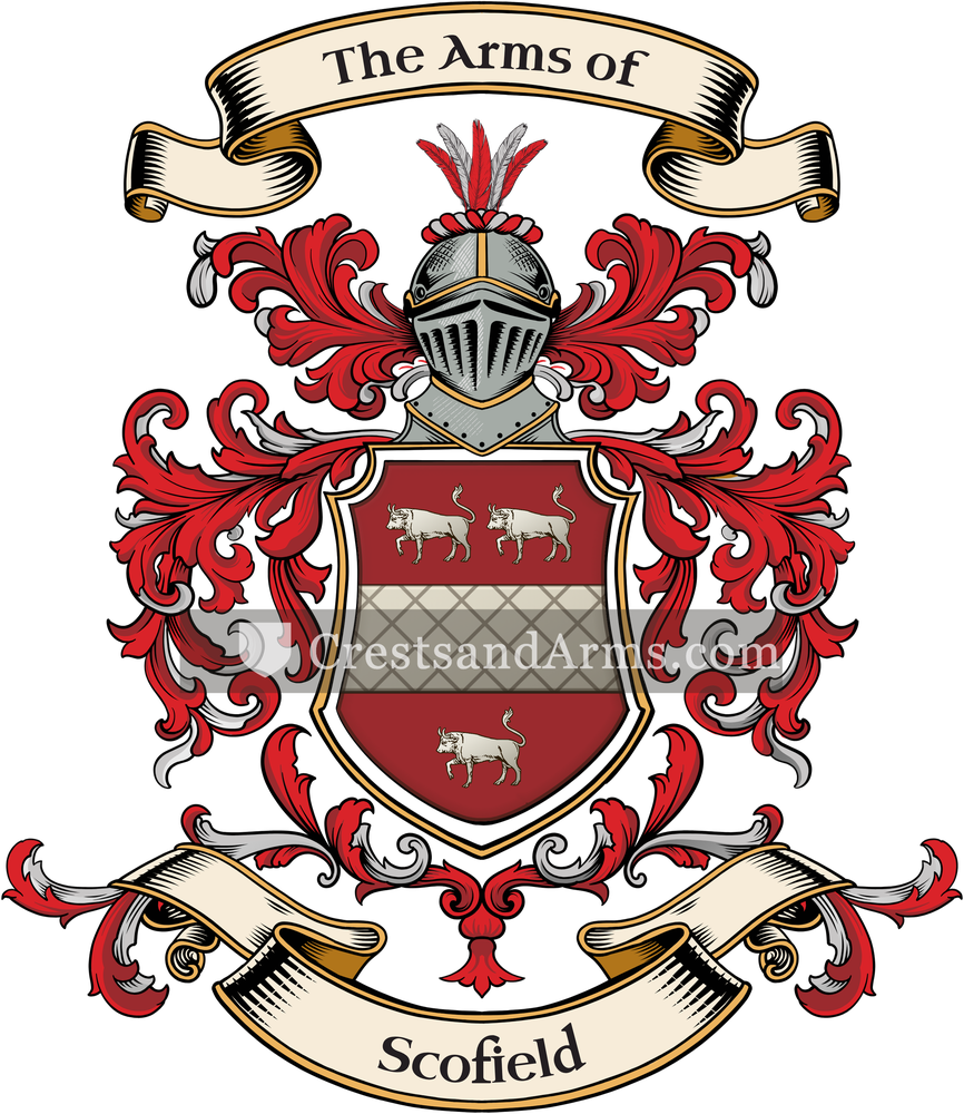 The Scofield coat of arms, drawn from the recorded blazon