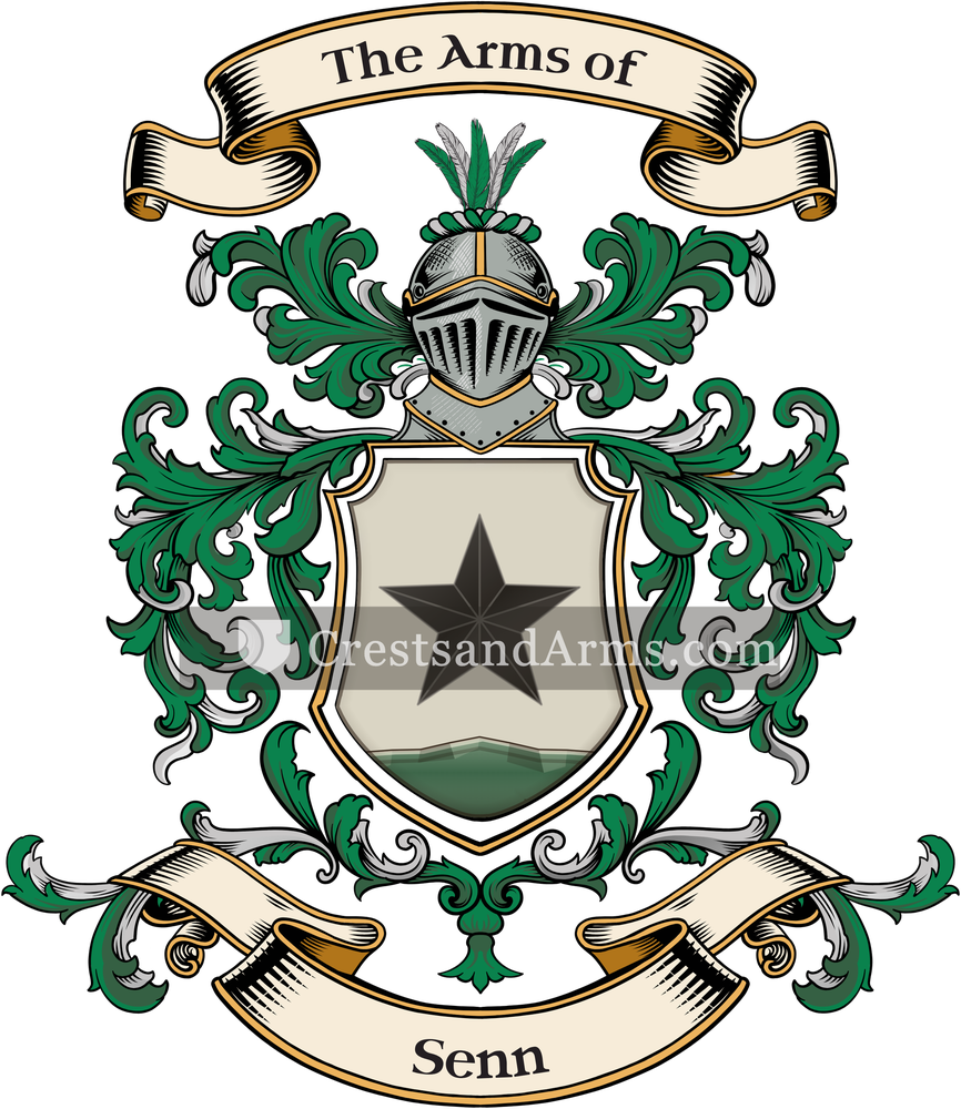 The Senn coat of arms, drawn from the recorded blazon