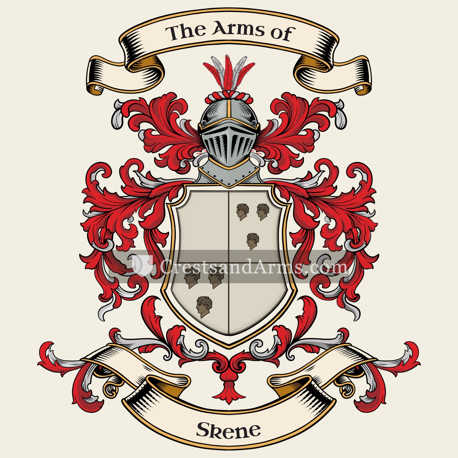 The arms