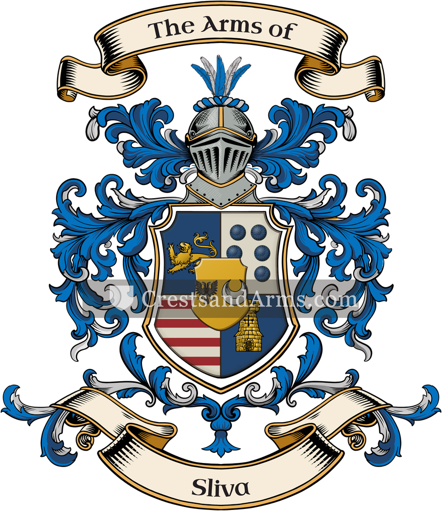 The Sliva coat of arms, drawn from the recorded blazon