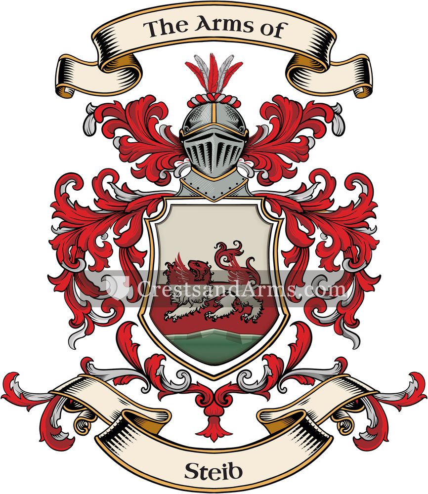 The Steib coat of arms, drawn from the recorded blazon