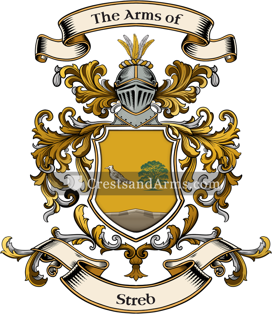 The Streb coat of arms, drawn from the recorded blazon