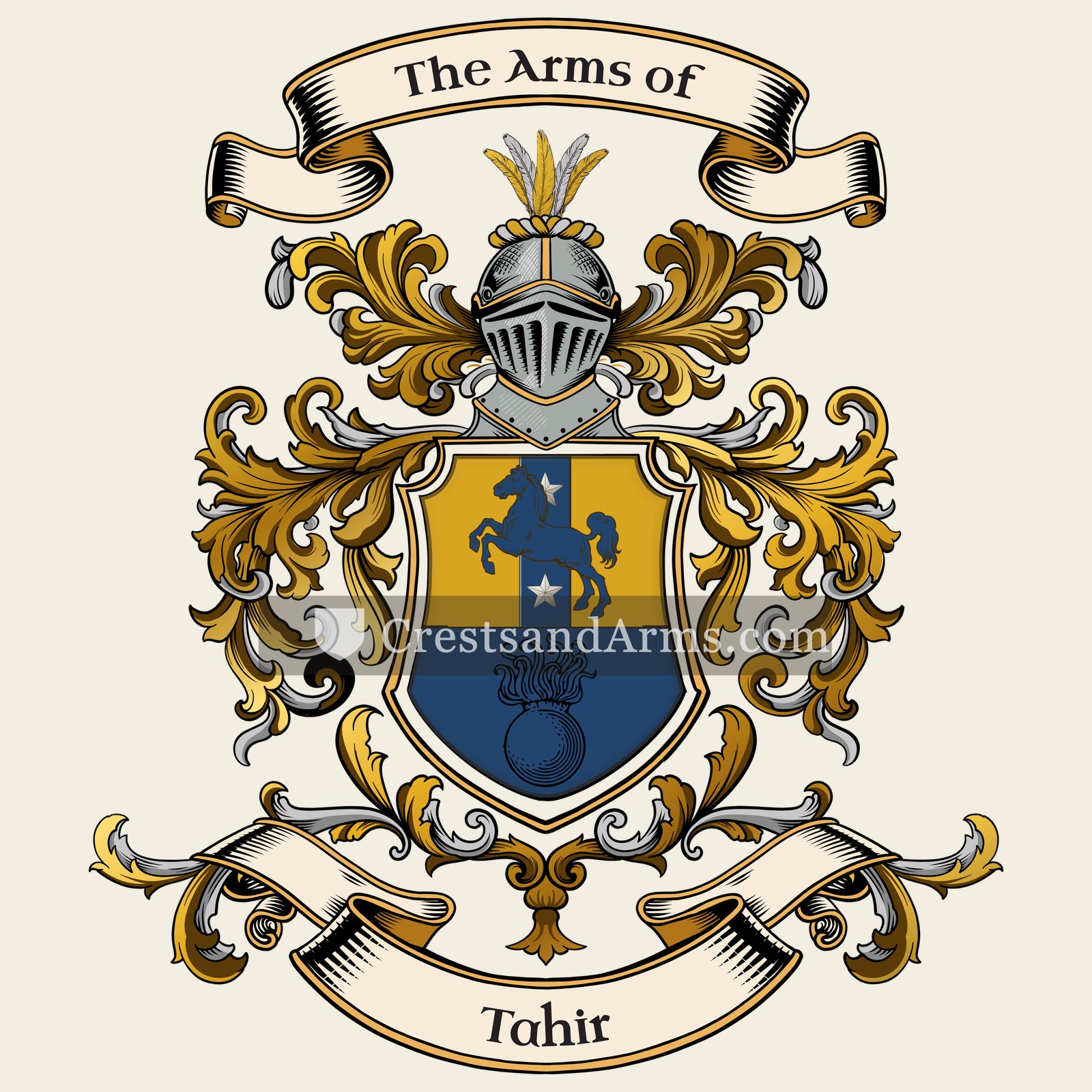 The Tahir coat of arms, drawn from the recorded blazon