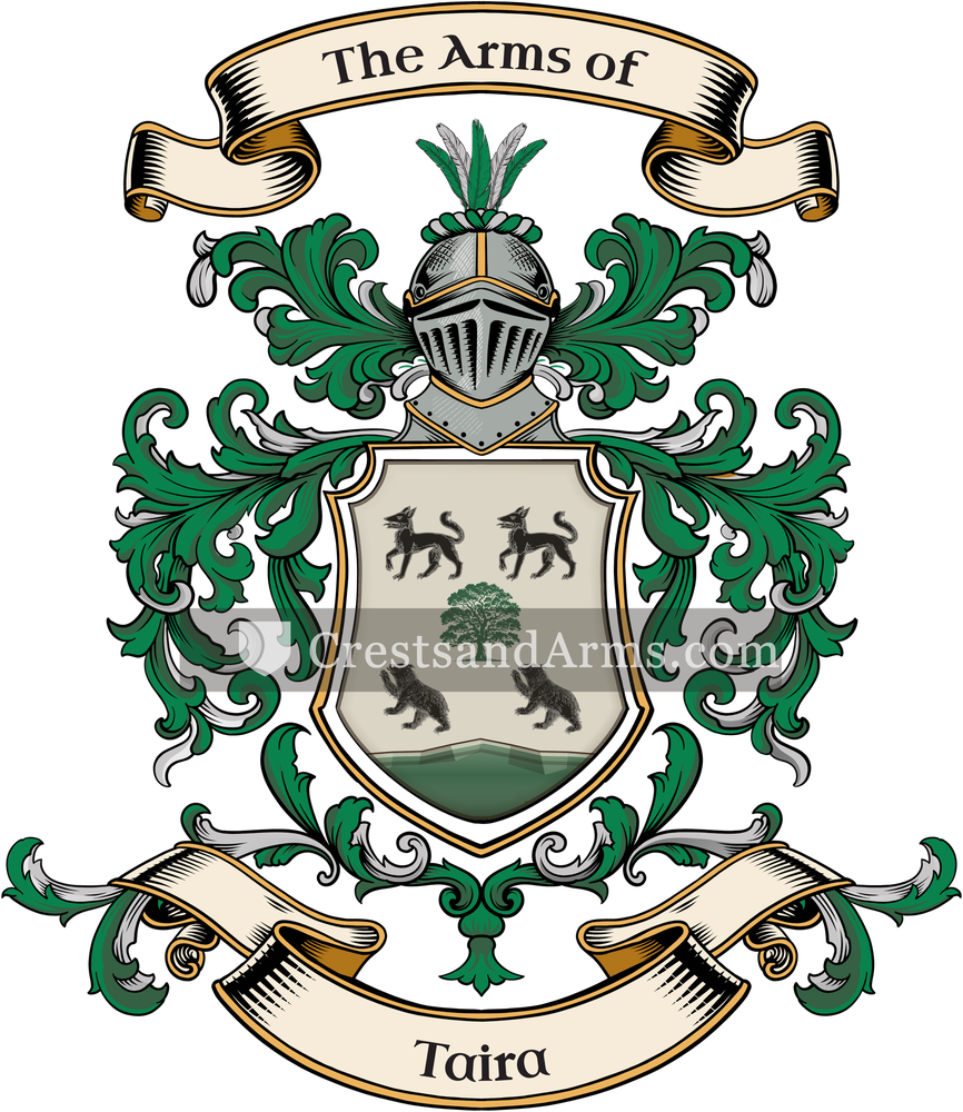 The Taira coat of arms, drawn from the recorded blazon