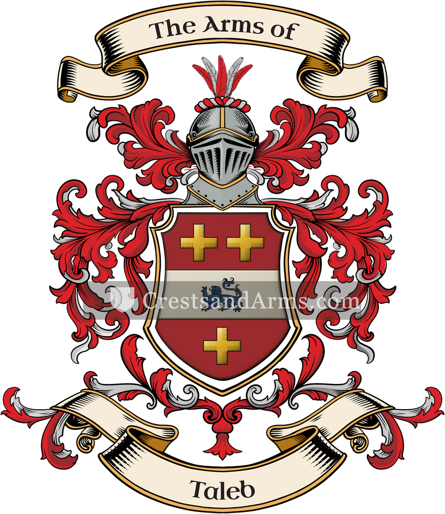 The Taleb coat of arms, drawn from the recorded blazon