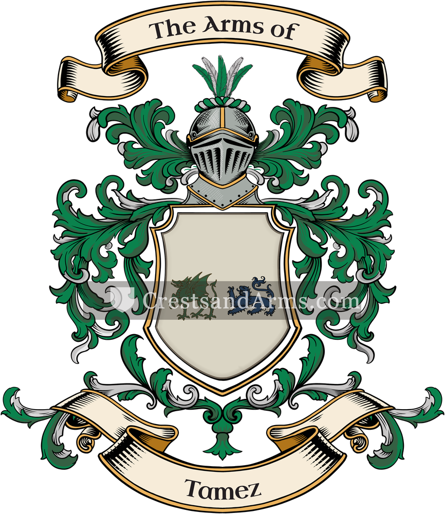 The Tamez coat of arms, drawn from the recorded blazon