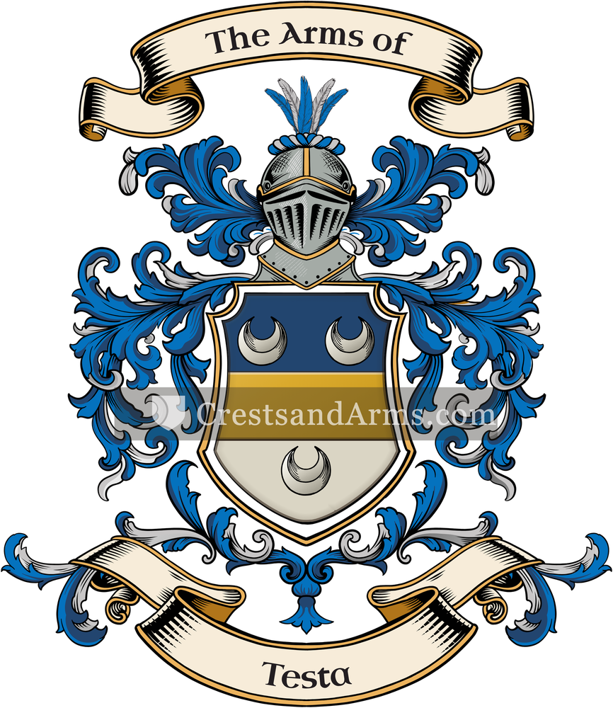The Testa coat of arms, drawn from the recorded blazon