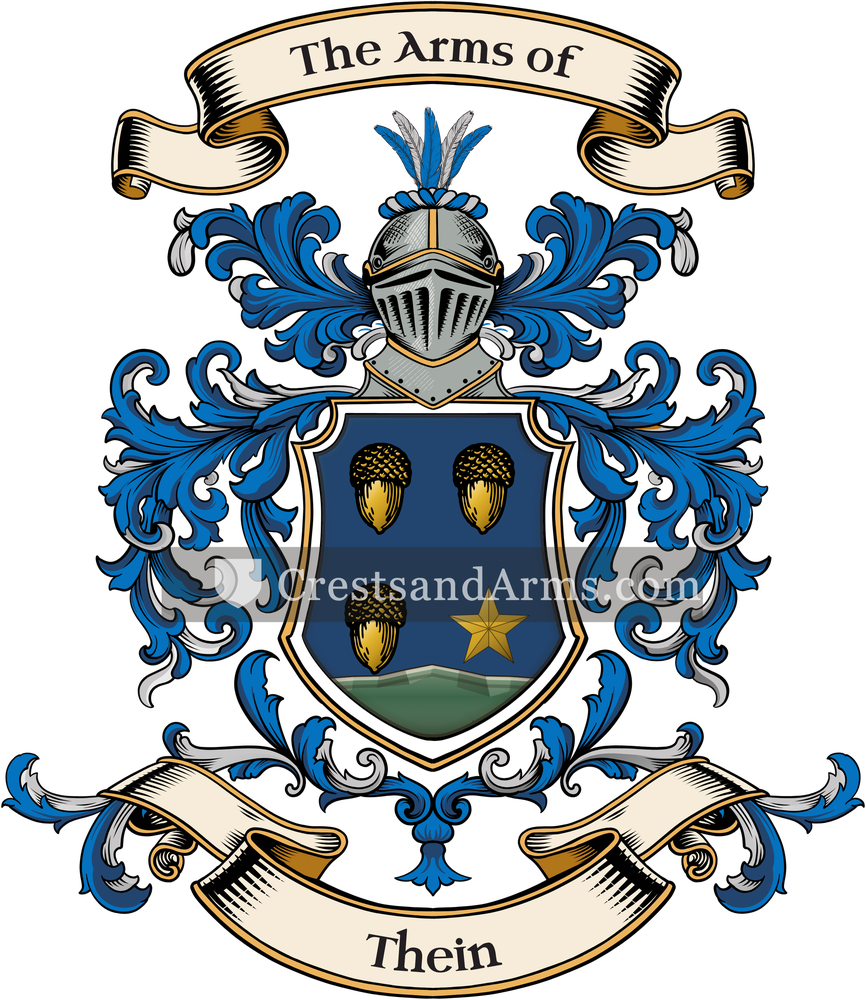 The Thein coat of arms, drawn from the recorded blazon