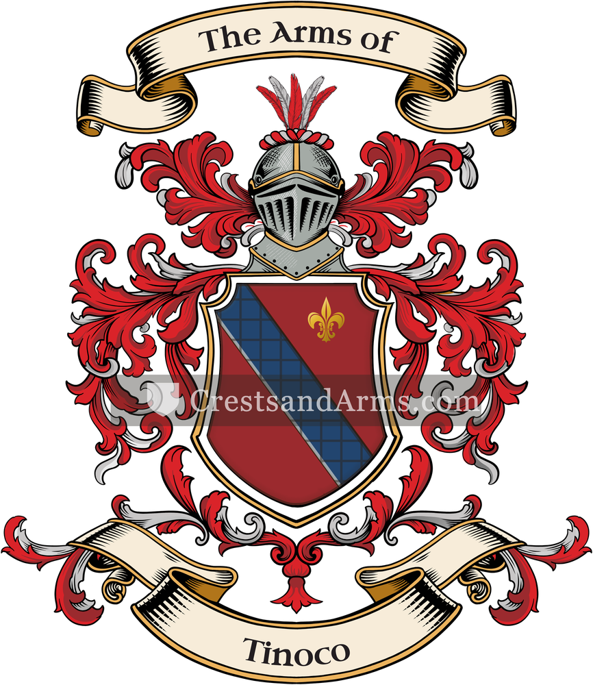 The Tinoco coat of arms, drawn from the recorded blazon