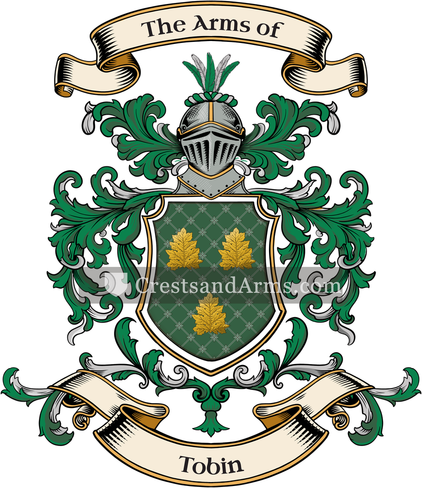 The Tobin coat of arms, drawn from the recorded blazon