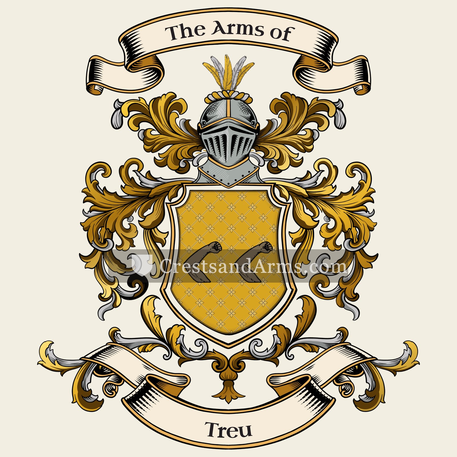 The Treu coat of arms, drawn from the recorded blazon