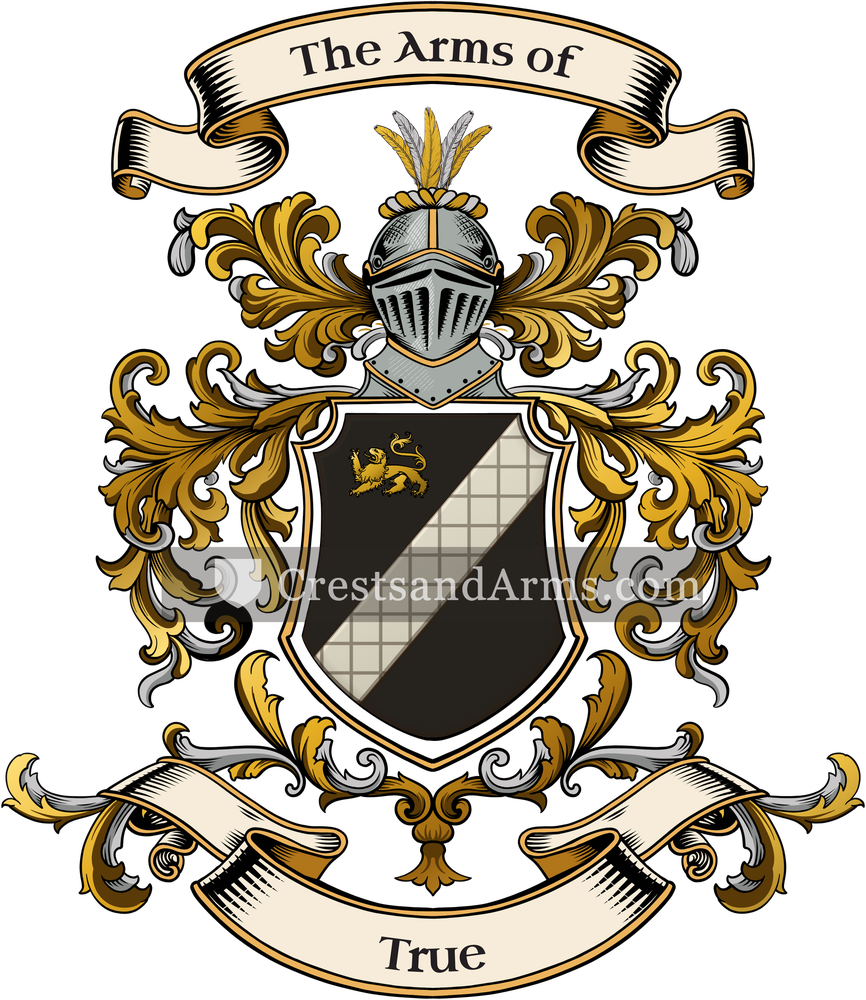 The True coat of arms, drawn from the recorded blazon