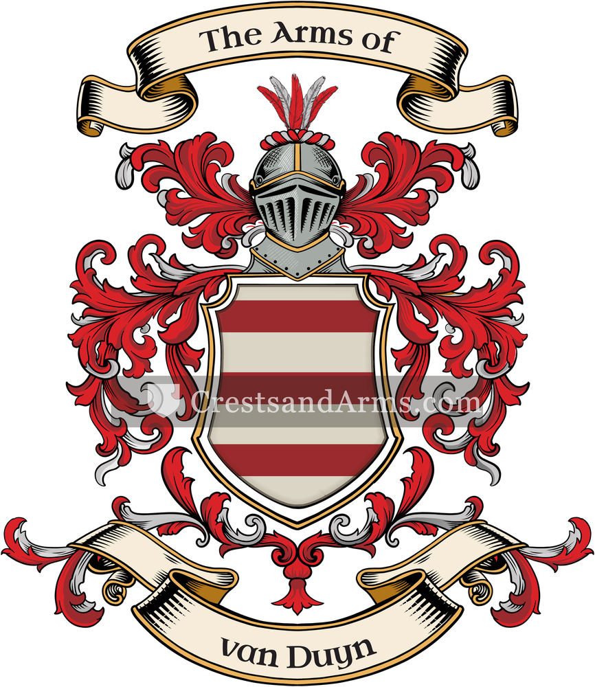 The van Duyn coat of arms, drawn from the recorded blazon