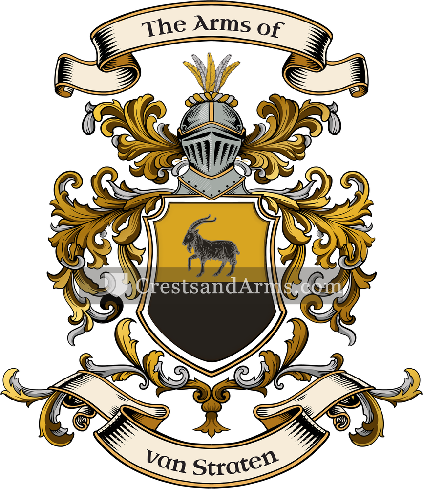 The van Straten coat of arms, drawn from the recorded blazon