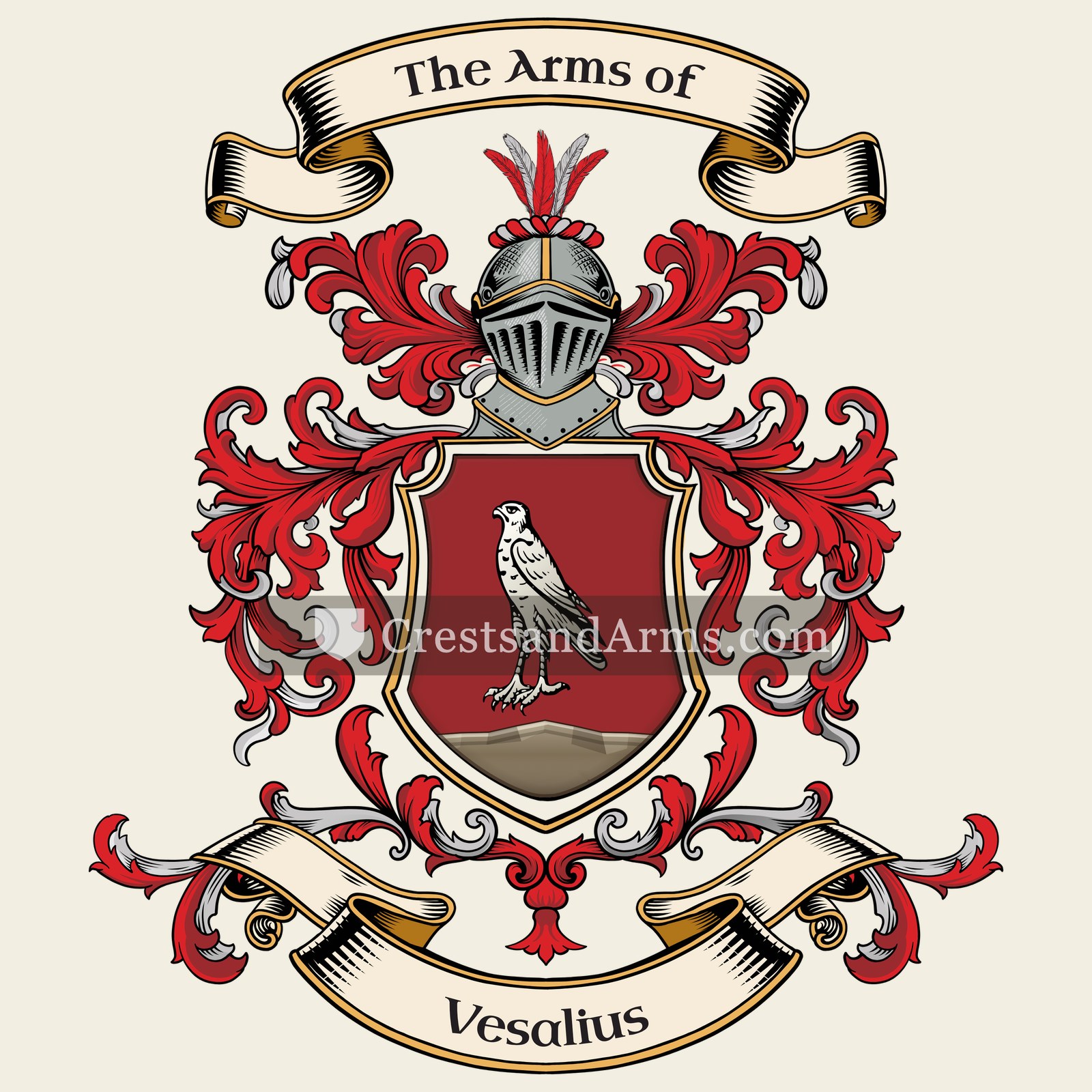 The Vesalius coat of arms, drawn from the recorded blazon