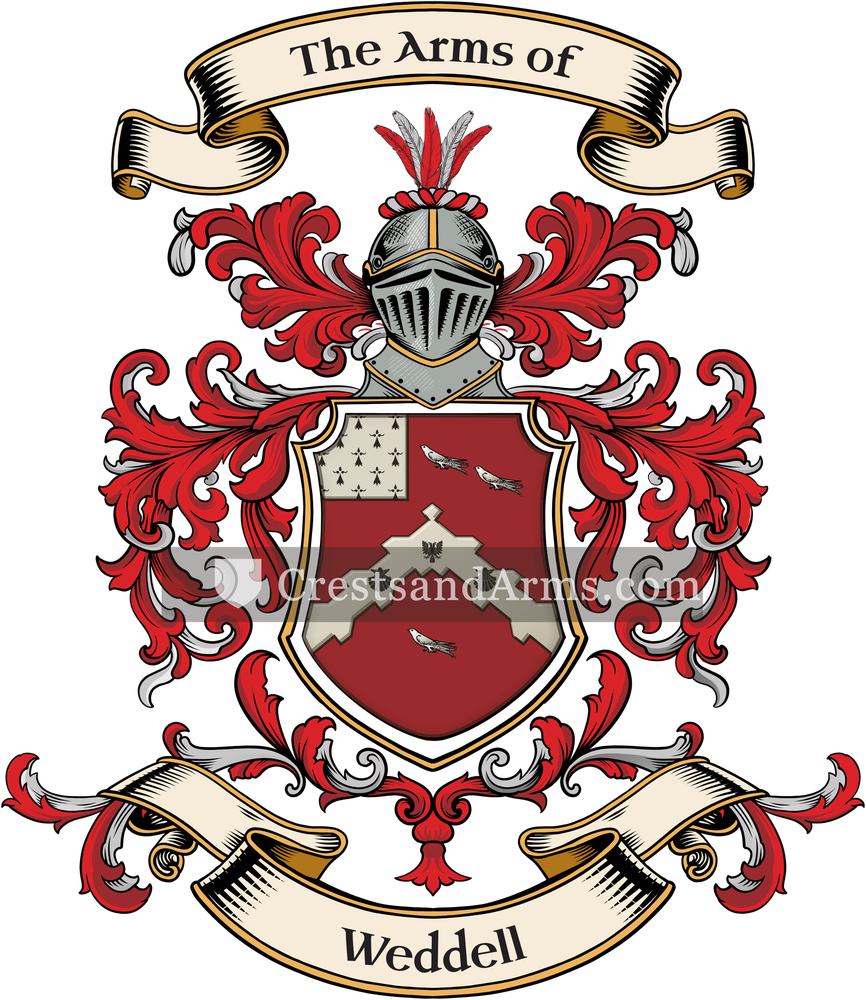 The Weddell coat of arms, drawn from the recorded blazon