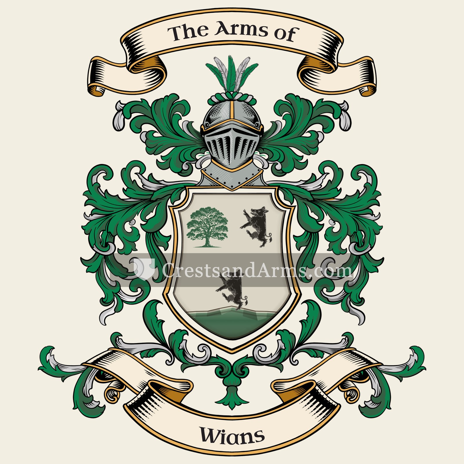 The Wians coat of arms, drawn from the recorded blazon