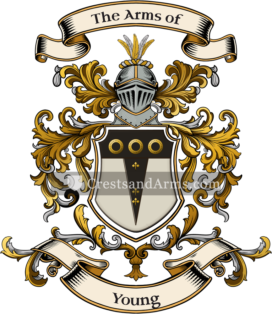 The Young coat of arms, drawn from the recorded blazon